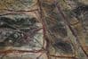 Rainforest Green Large  Marble Tiles  610 mm x 610 mm x 20 mm ( Floor or Wall )