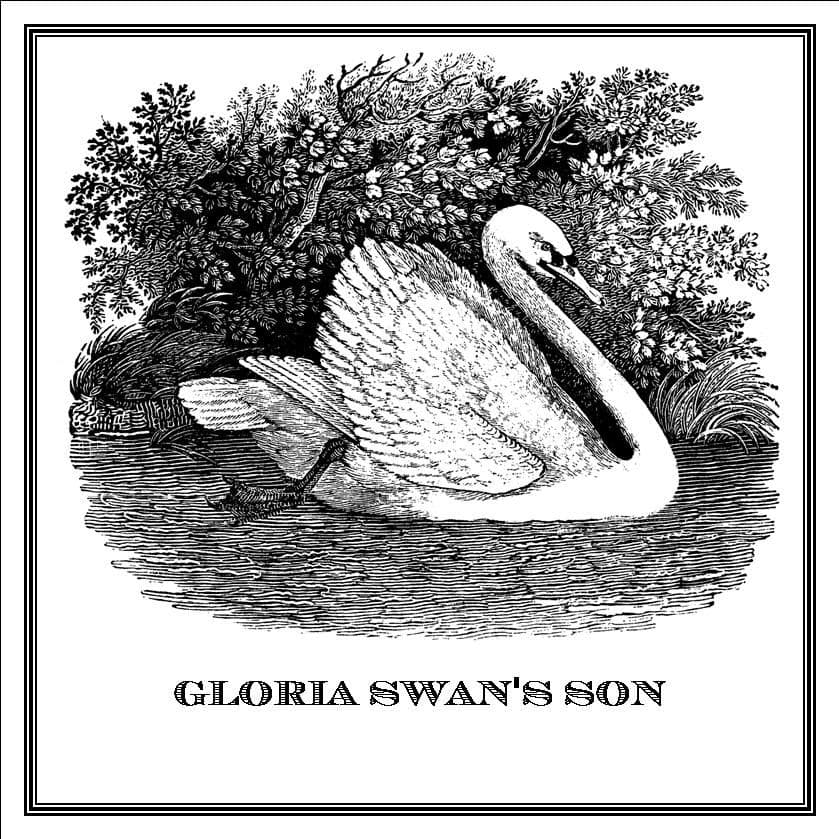 Zoomorphic' Greeting Card Gloria Swan's Son