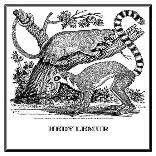 Zoomorphic' Greeting Card Hedy Lemur