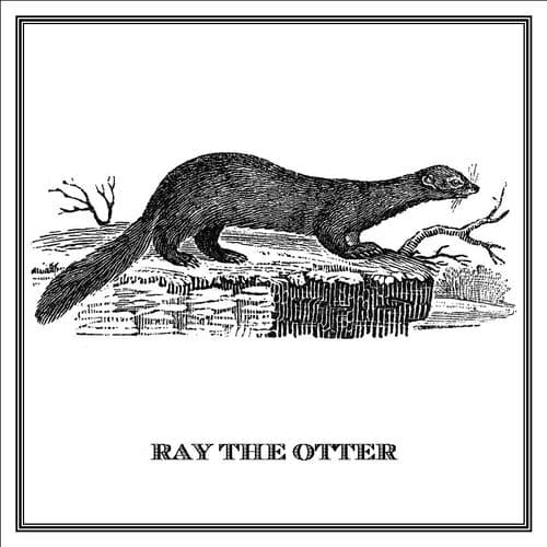 Zoomorphic' Greeting Card Ray The Otter