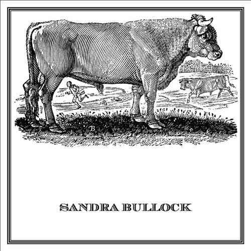 Zoomorphic' Greeting Card Sandra Bullock