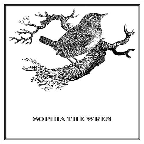 Zoomorphic' Greeting Card Sophia The Wren