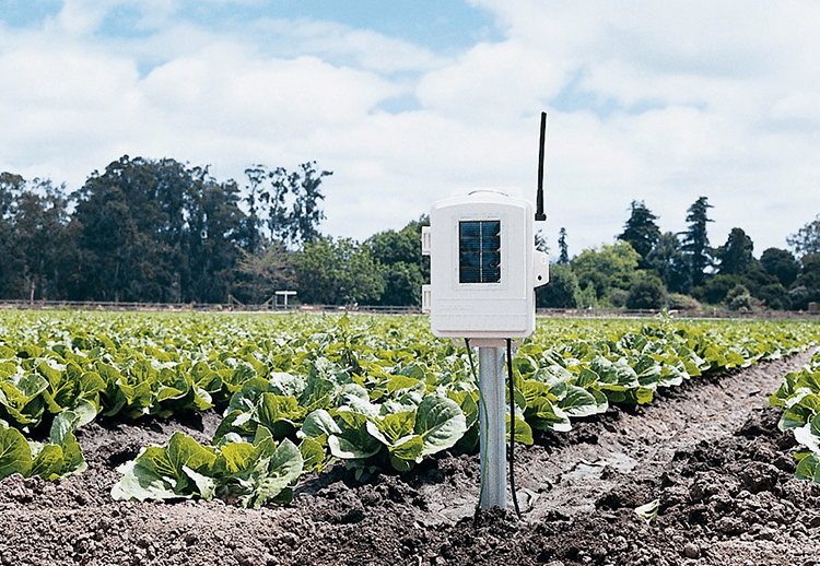6345CSOV Complete Wireless Leaf and Soil Moisture/Temperature Station
